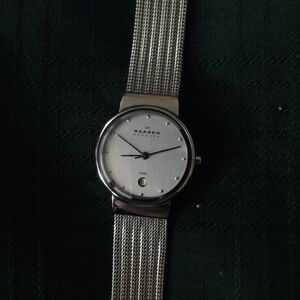 Skagen Silver Mesh Strap Watch